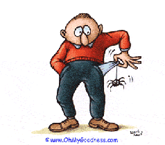 elad� cuccaim OLCS�N